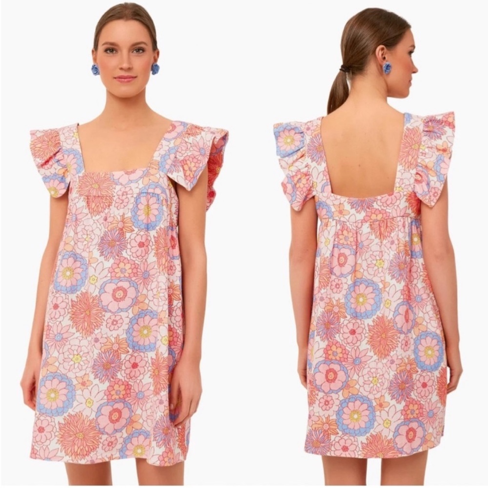 Tuckernuck Cameran Eubanks Wimberly Folly Floral Hazel Flutter Dress Size Small